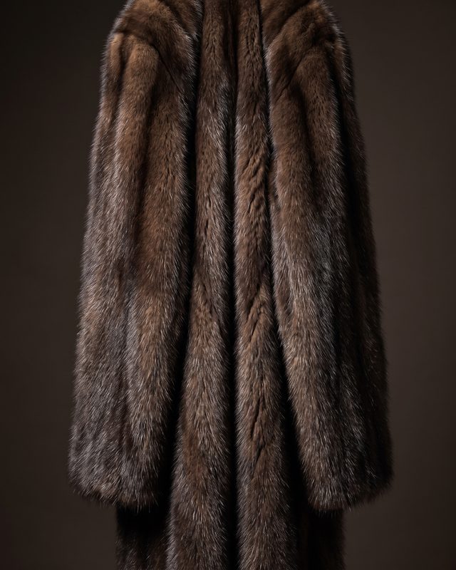 Sable fur — illustrative